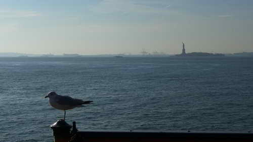 NYC_2012-11-23 13-39-18_P1070655